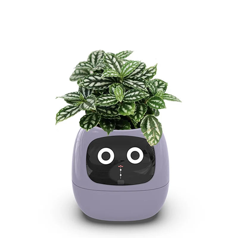 Ivy Smart Planter – Care Made Easy