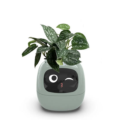 Ivy Smart Planter – Care Made Easy