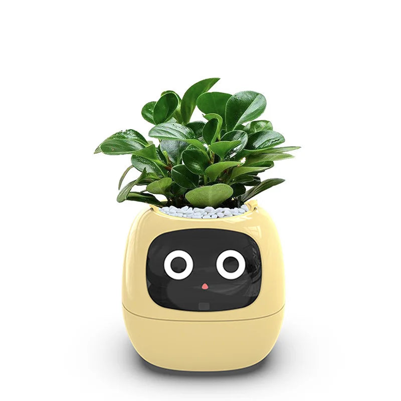 Ivy Smart Planter – Care Made Easy