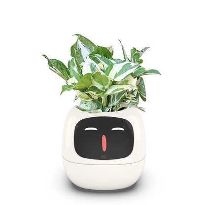 Ivy Smart Planter – Care Made Easy